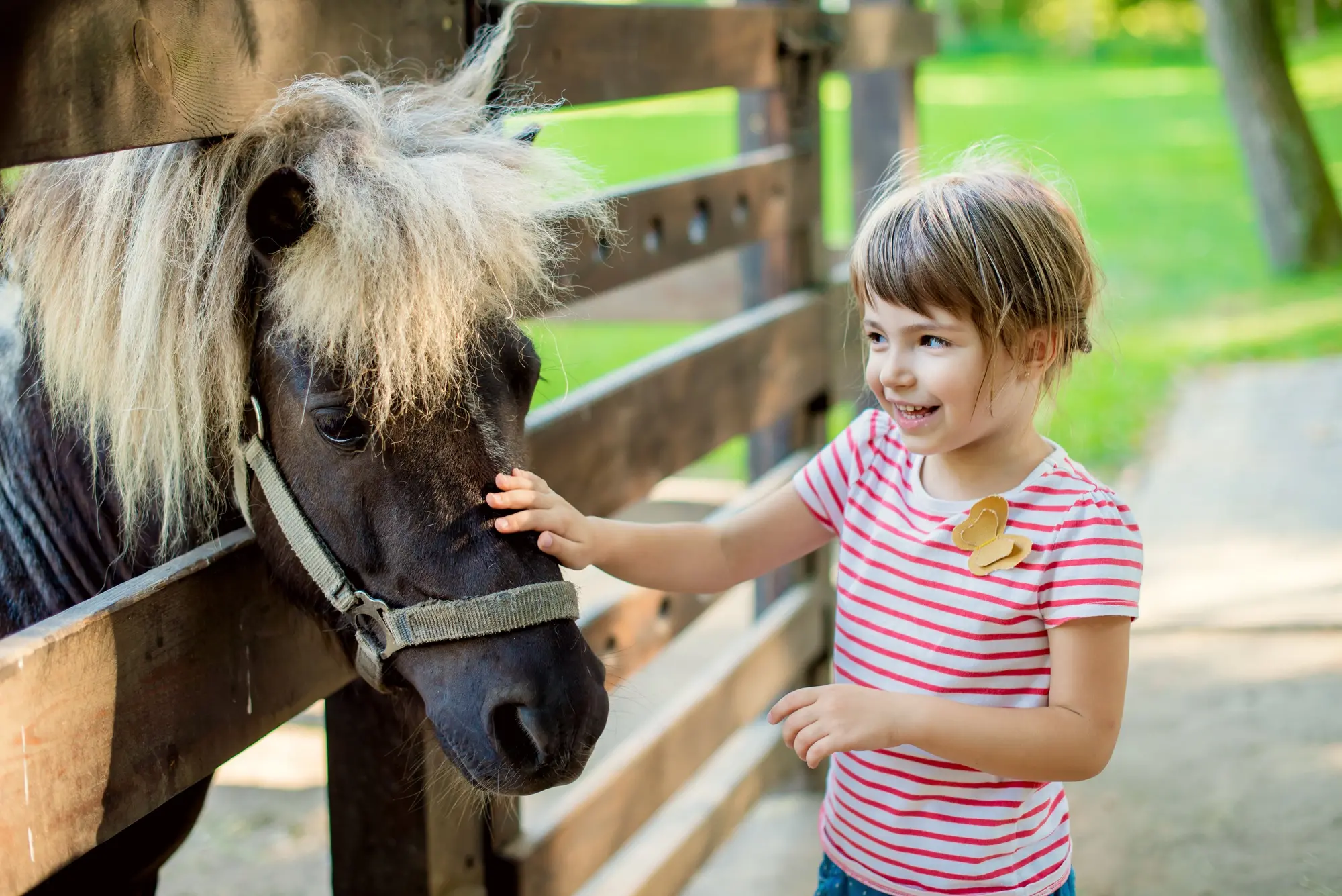 Ponys auf dem Ferienhof - Liebe auf den ersten Blick! - © demchyna_AdobeStock