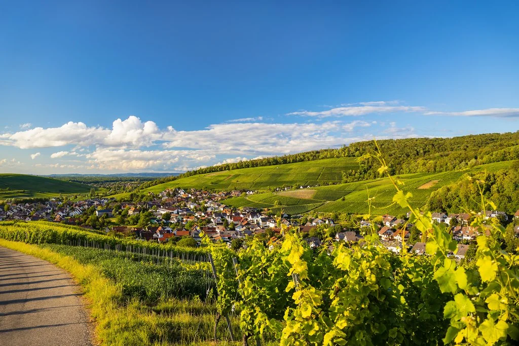 Pfaffenweiler im Markgräflerland - © DieterKenz_AdobeStock