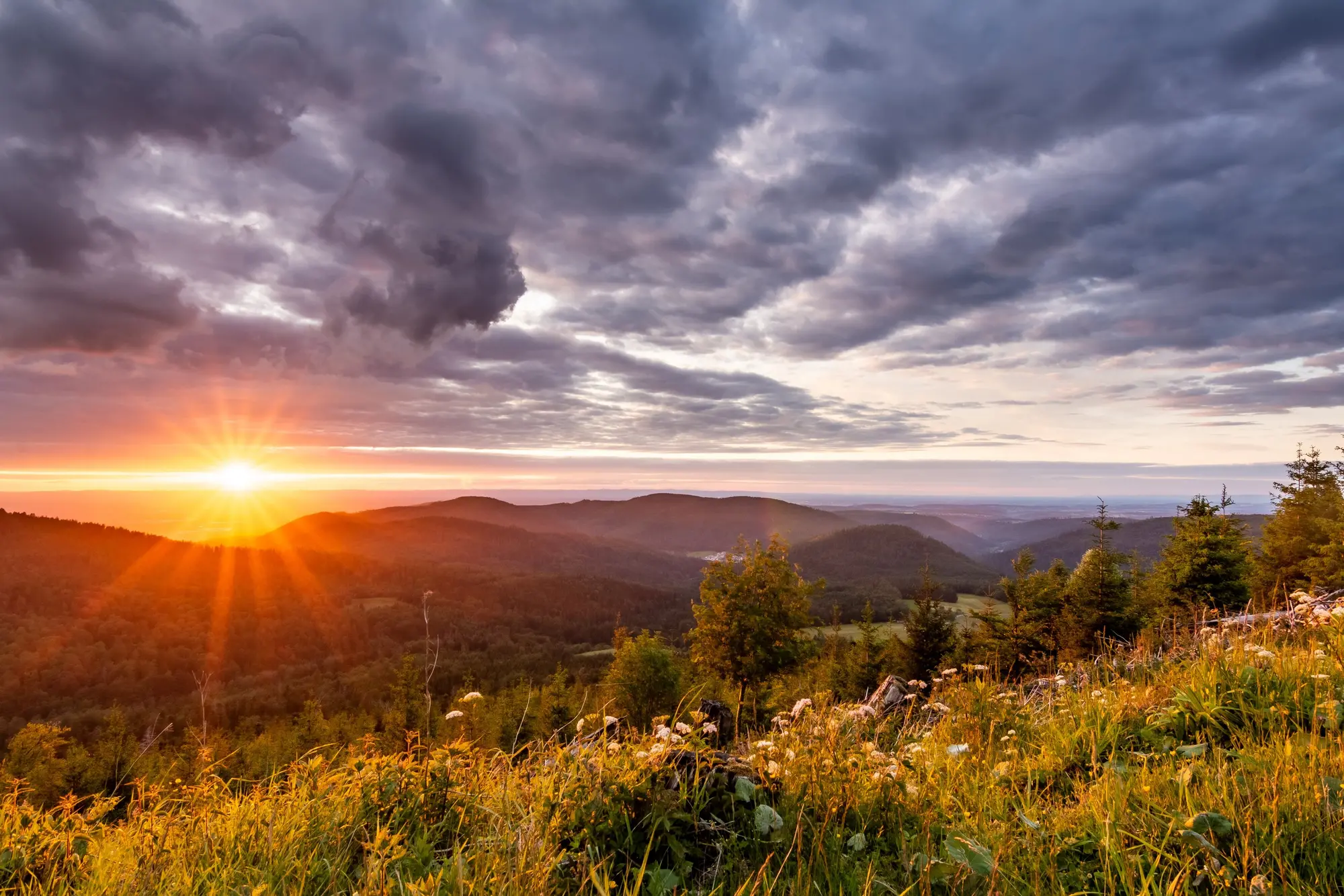 Abendstimmung im nördlichen Schwarzwald - © SimonRucker_AdobeStock