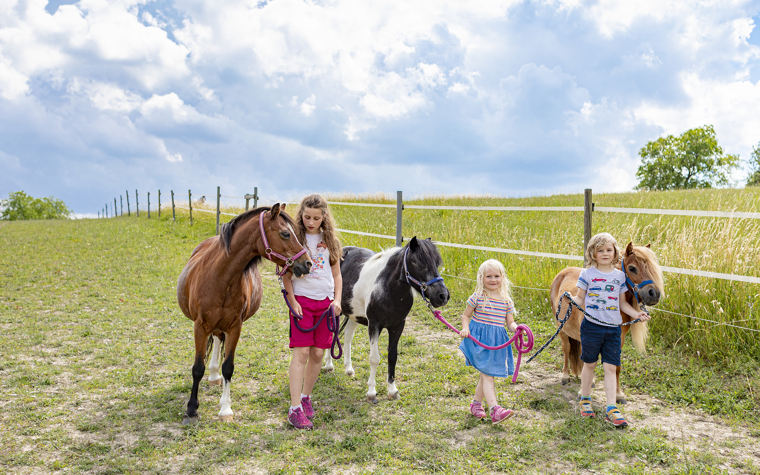Ferienhof Pfeiffer in Buchen im Odenwald - © TG Odenwald_Barbara Wagner