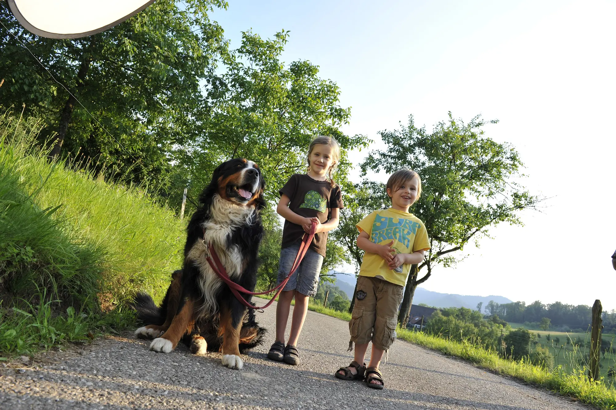 Urlaub auf dem Land mit Hund - © Susanne Moelle