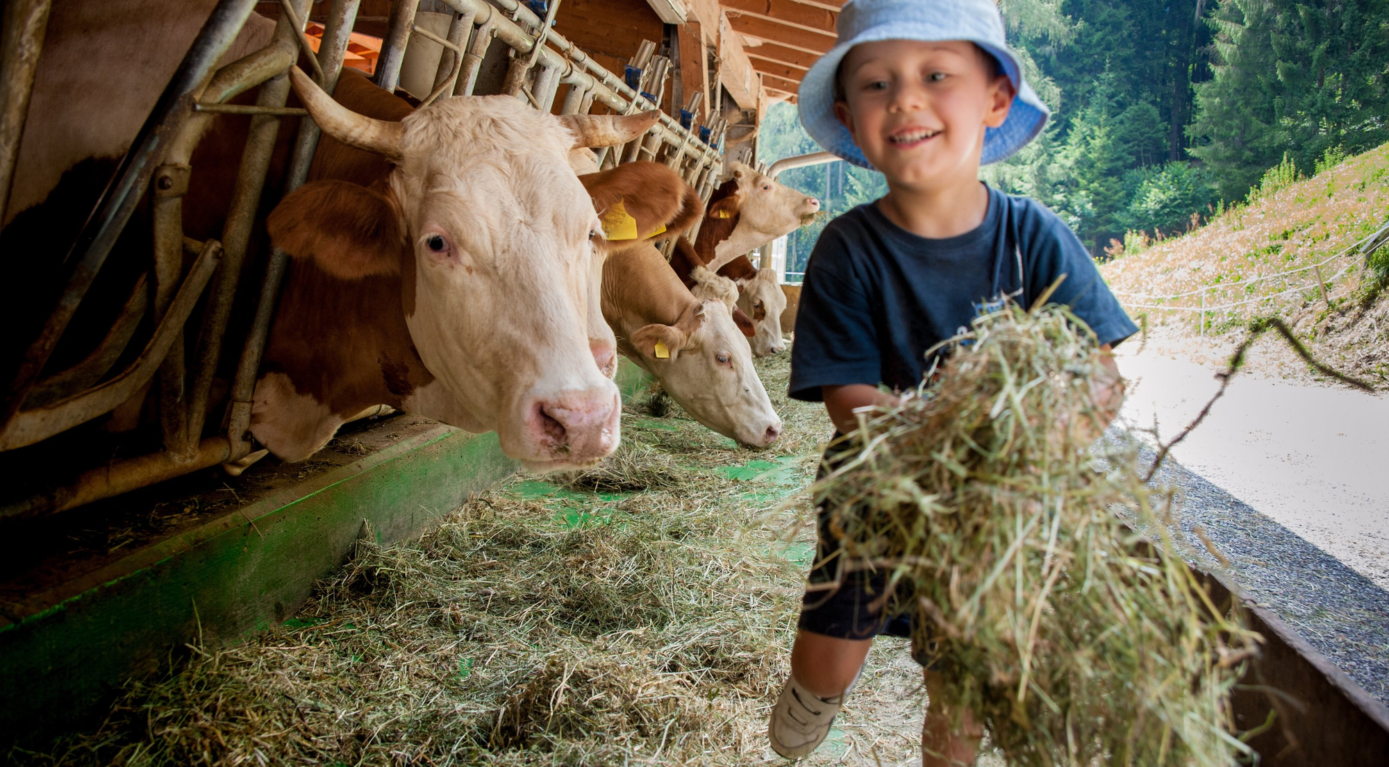 Familienurlaub auf dem Bauernhof - © stefano_AdobeStock