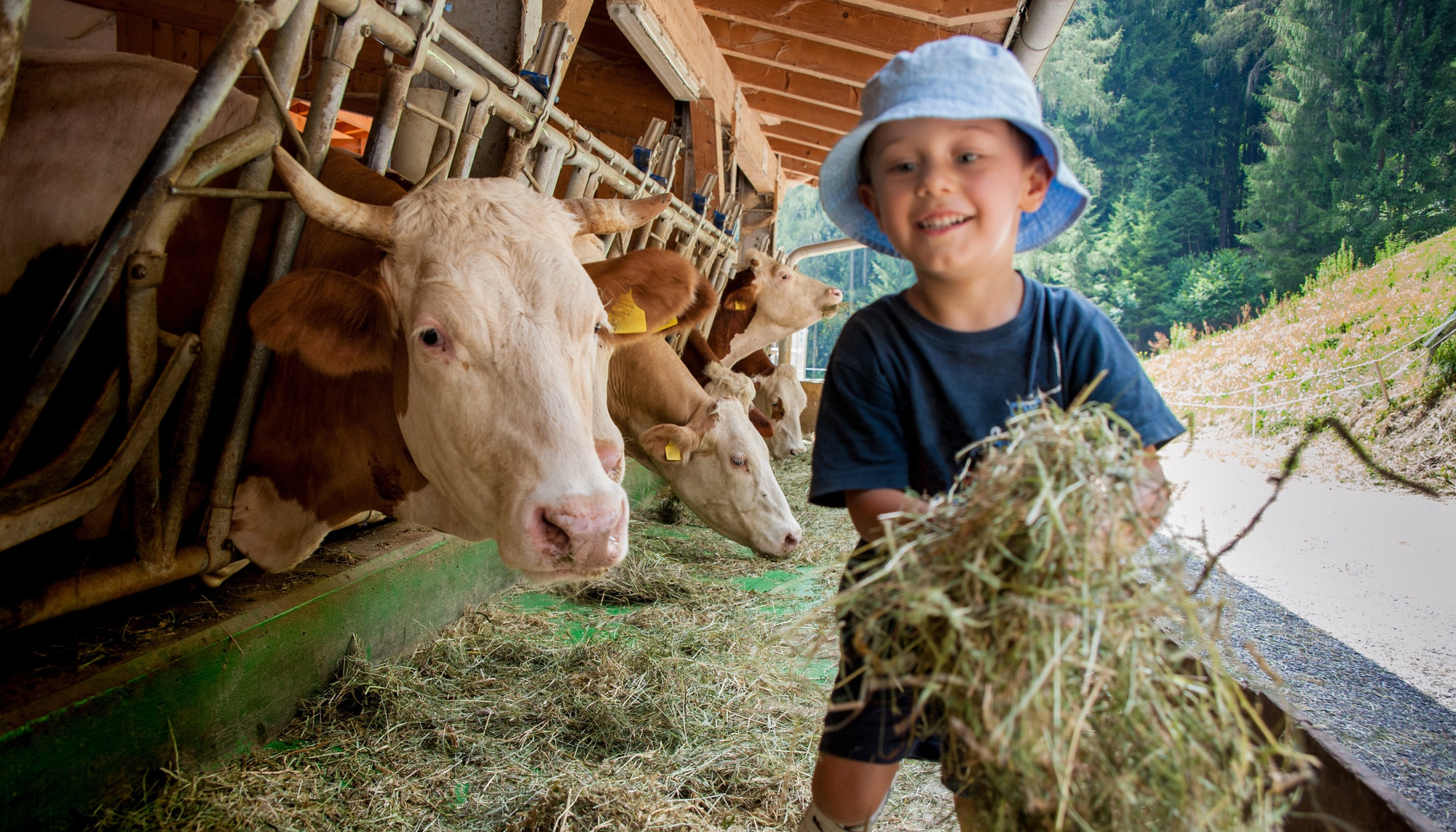 Familienurlaub auf dem Bauernhof - © stefano_AdobeStock