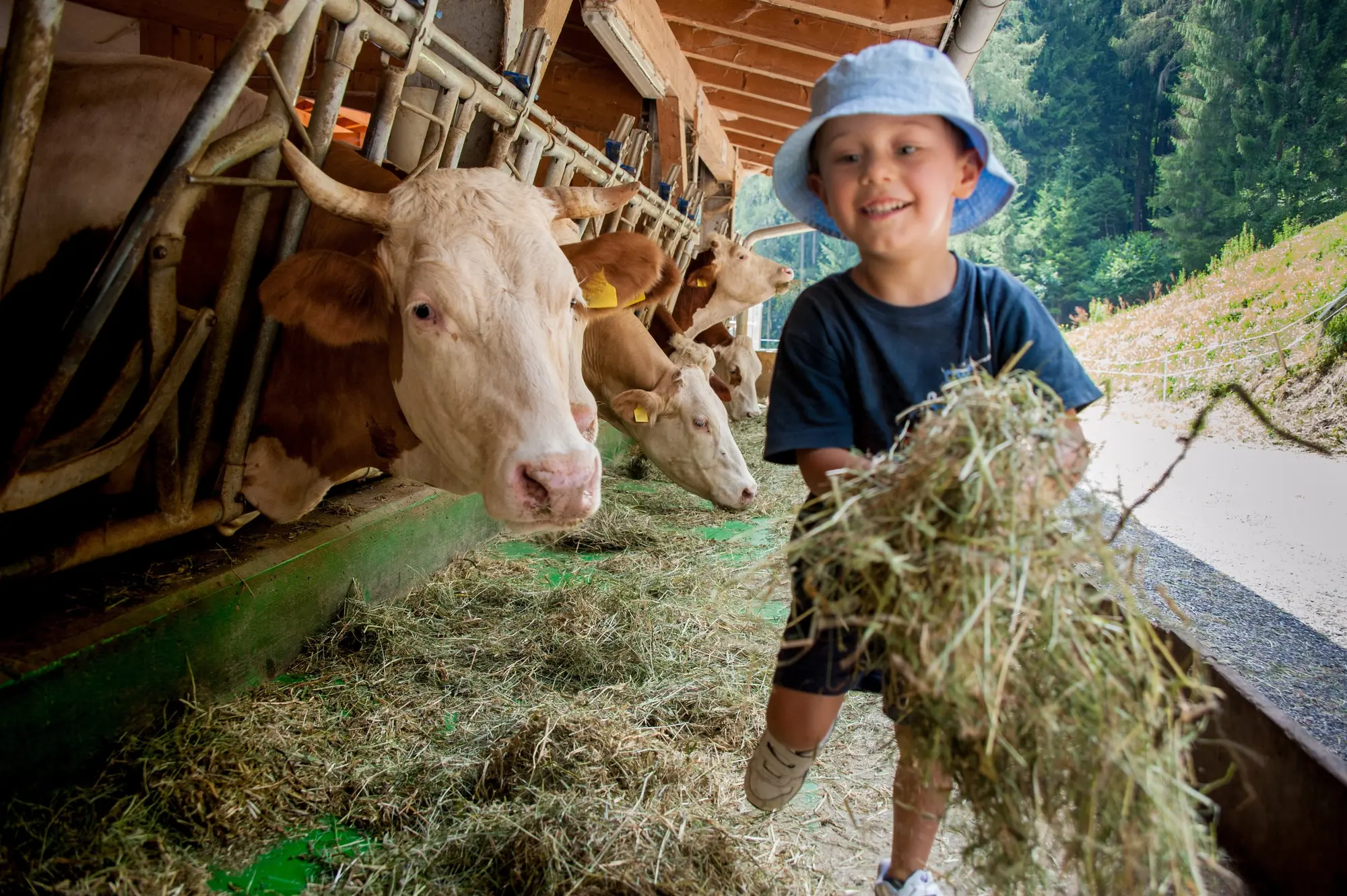 Familienurlaub auf dem Bauernhof - © stefano_AdobeStock