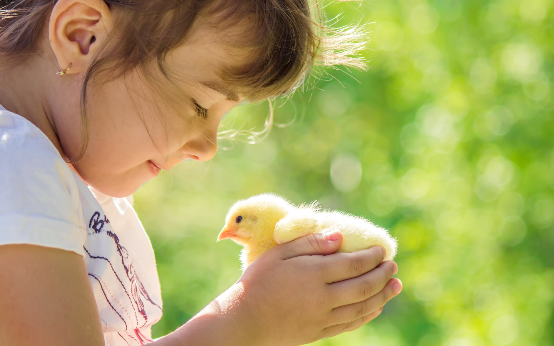 Ferien auf dem Bauernhof sind zum Entdecken da - © Yanadjan - fotolia.com