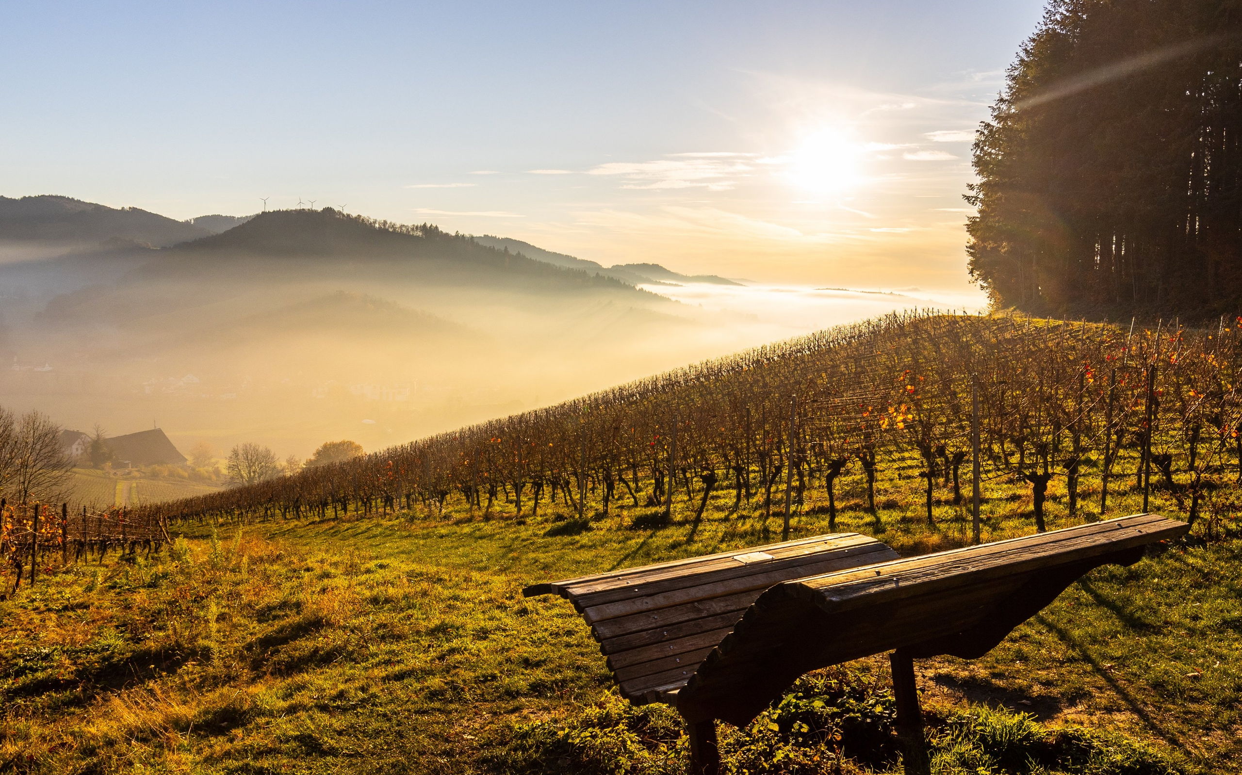 Abendstimmung im Glottertal - © Ralf - adobe.stock.com