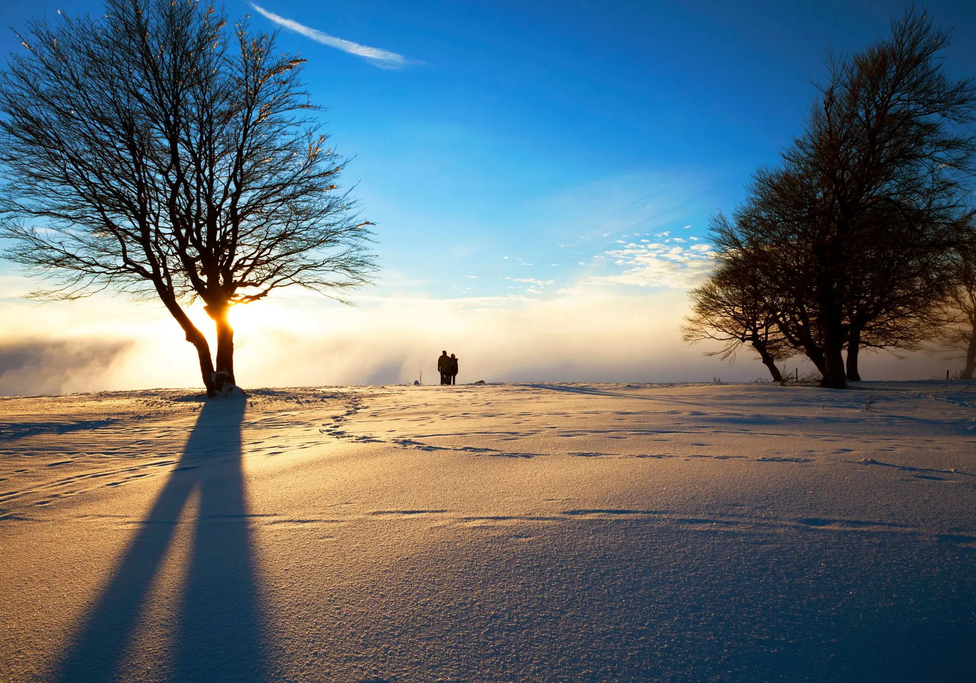 Winterspaziergang - © JuergenWiesler - adobe.stock.com