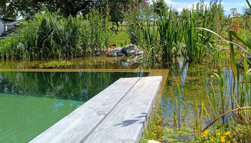 Entspannung am Naturteich - © Ferienhof Stärk