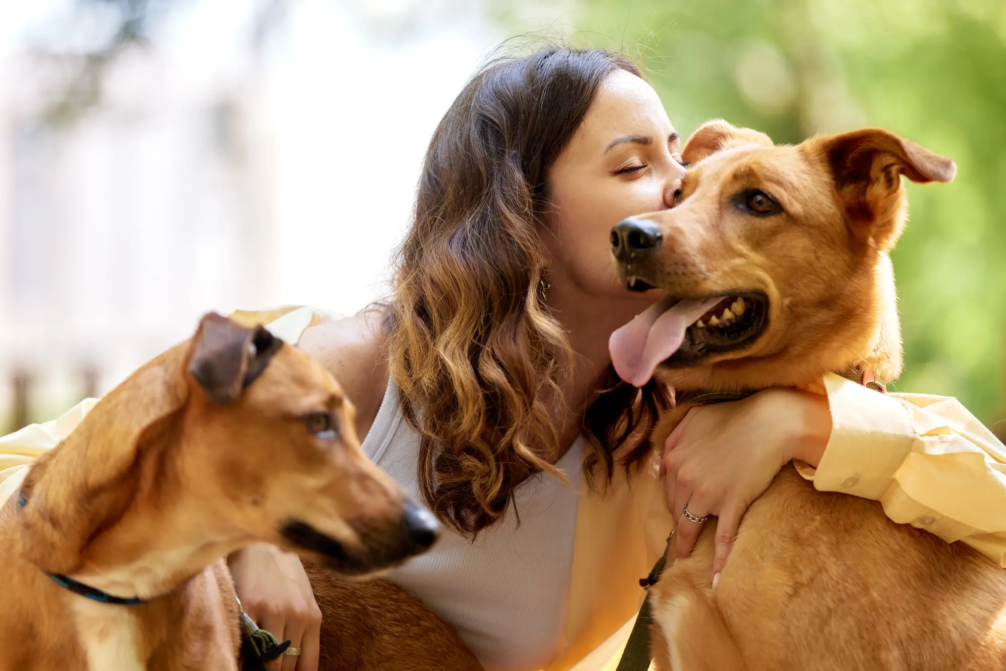 Urlaubsglück mit Hund - © Georgii - adobe.stock.com