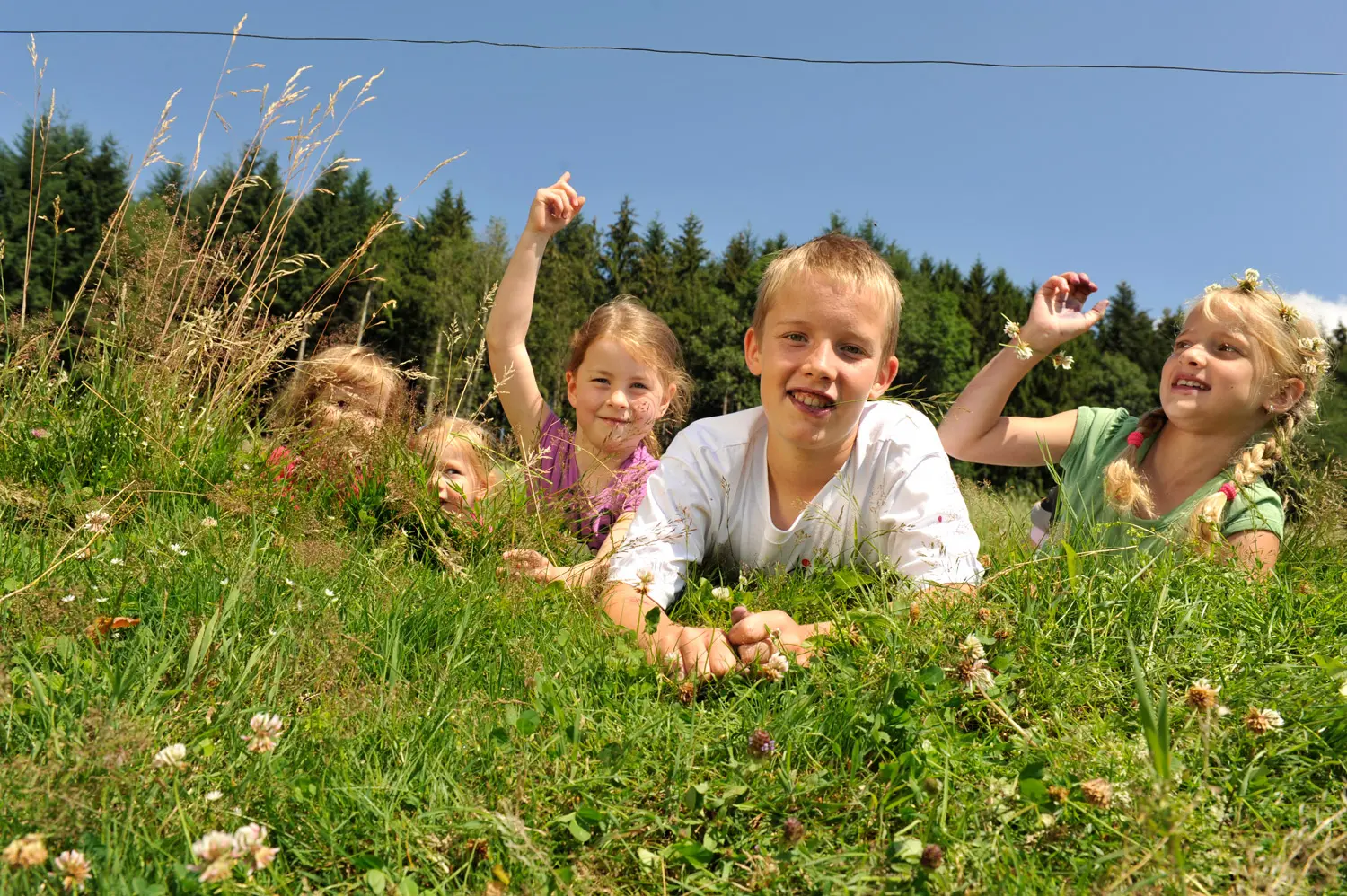Gemeinsam mit Geschwistern auf dem Bauernhof - © Susanne Moelle
