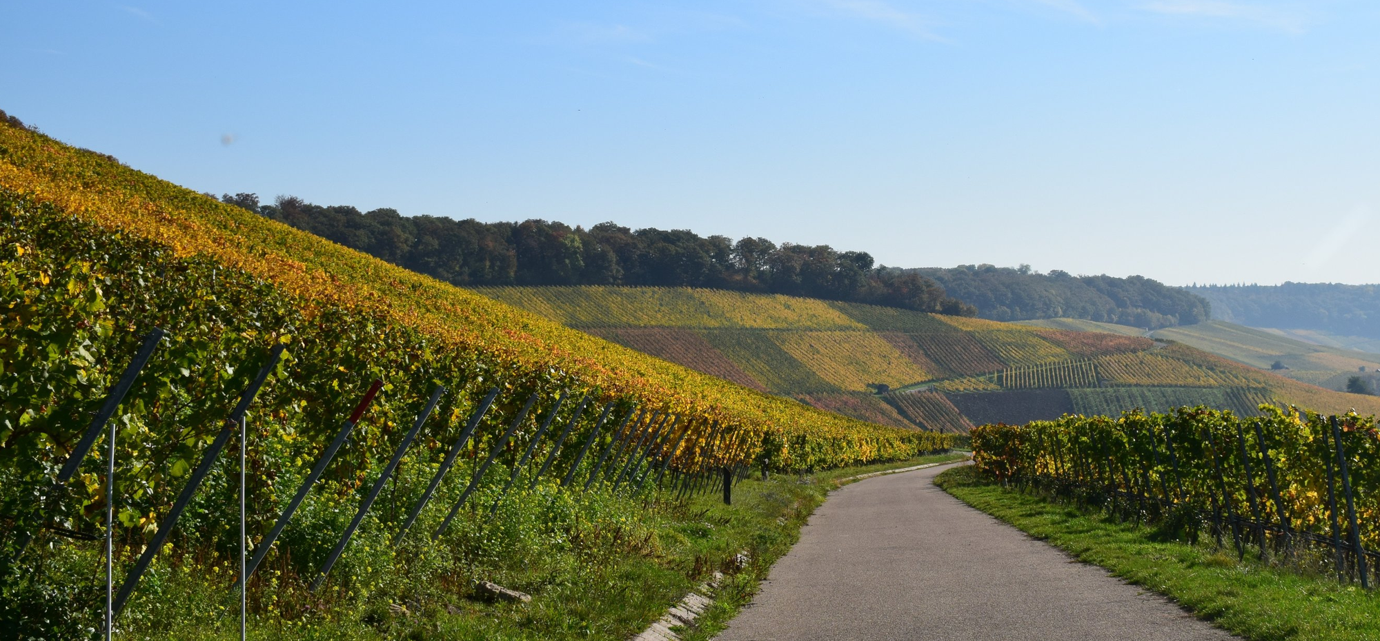 Heilbronner Land - © RegineRuedinger - adobe.stock.com