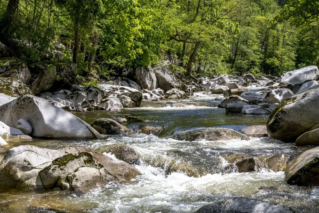 Das Murgtal im nördlichen Schwarzwald - © TMBW_Gregor_Lengler