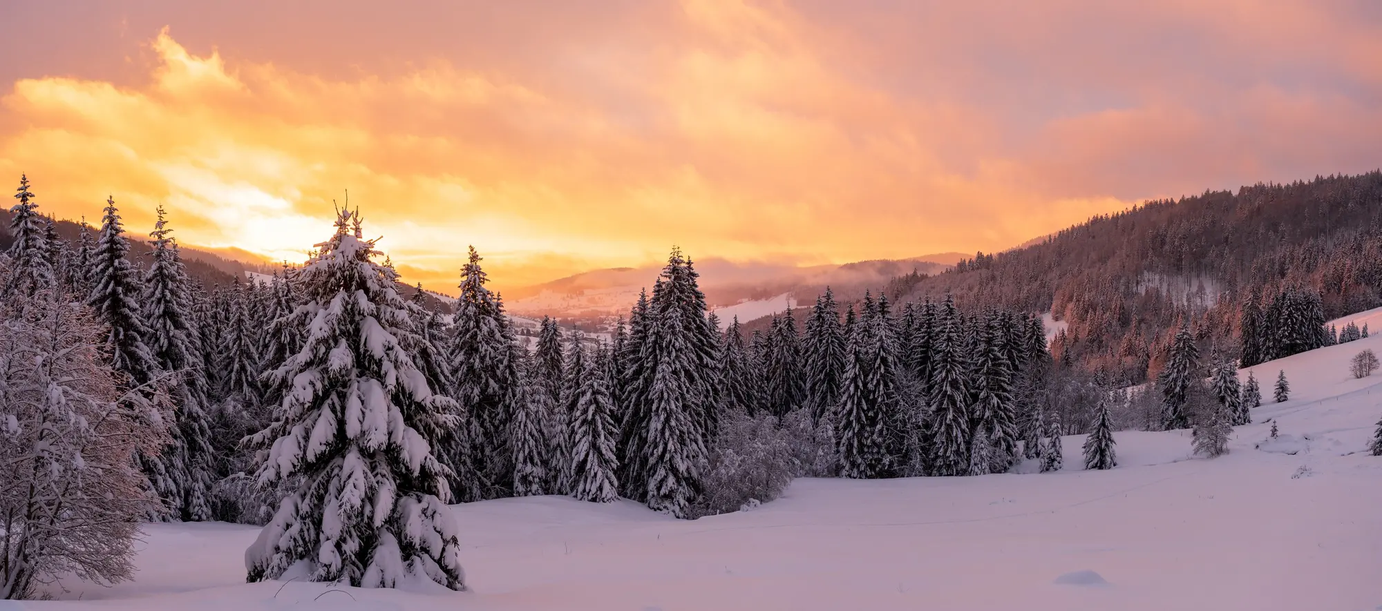 Winter im Breisgau Hochschwarzwald - © AdobeStock_402455368