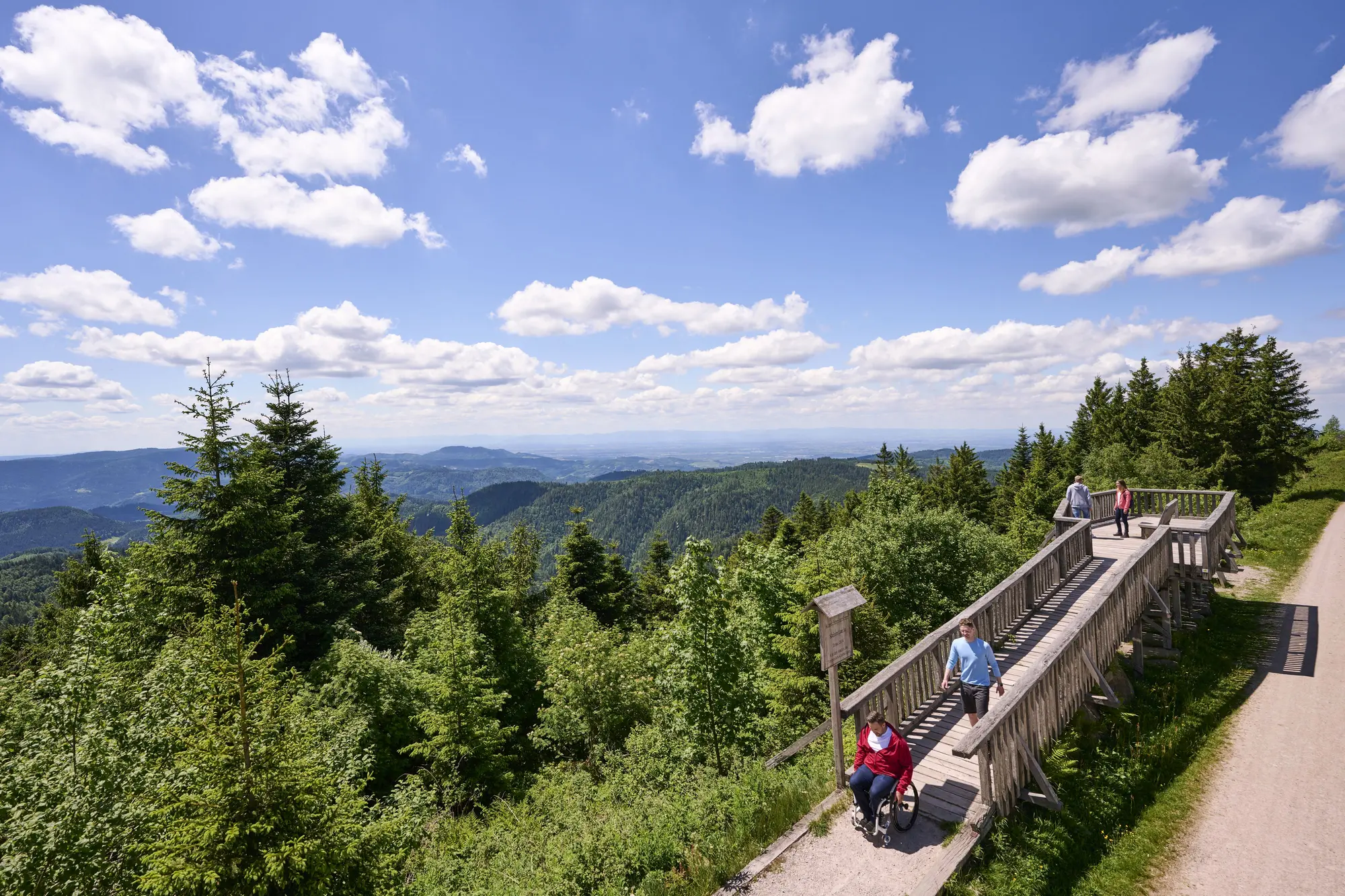 Der 1000m-Weg im Schwarzwald - © TMBW - Jens Wegener
