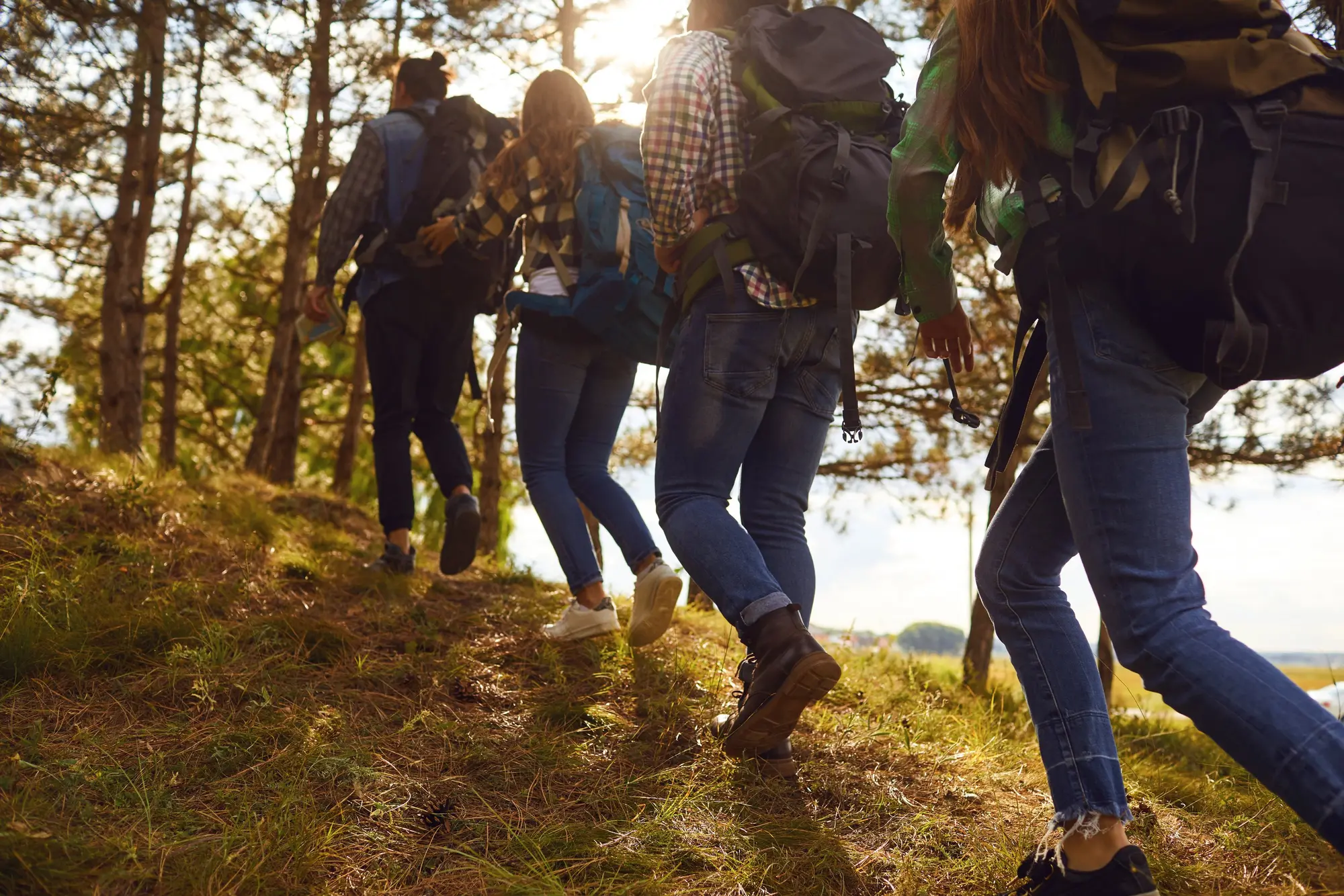Wandern in der Gruppe - © StudioRomantic - adobe.stock.com